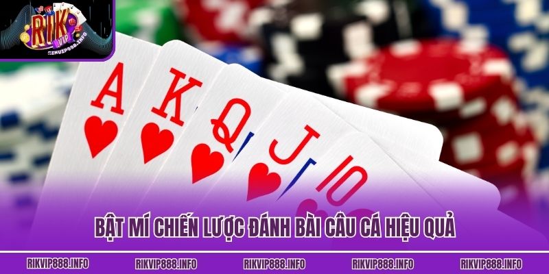 Bật mí chiến lược đánh bài Câu Cá hiệu quả