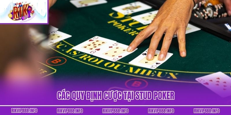 Các quy định cược tại Stud Poker