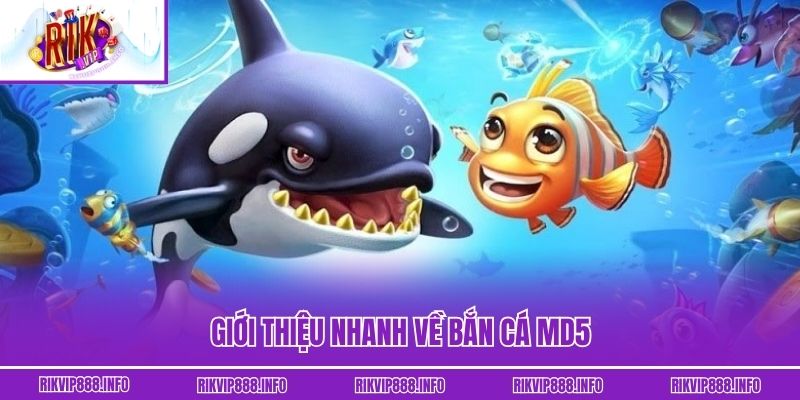 Giới thiệu nhanh về bắn cá MD5
