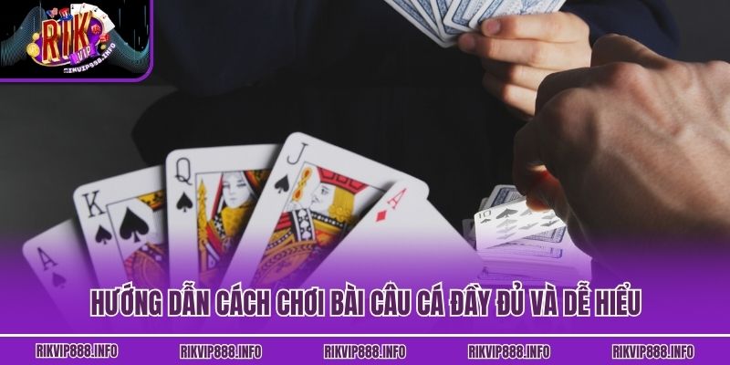 Hướng dẫn cách chơi bài Câu Cá đầy đủ và dễ hiểu
