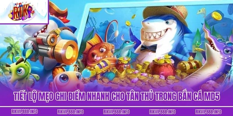 Tiết lộ mẹo ghi điểm nhanh cho tân thủ trong Bắn cá MD5